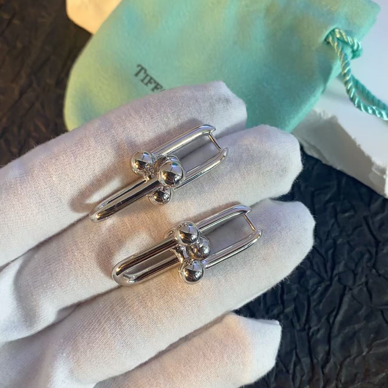 [✨ROSE💎]HW SERIES EARRINGS